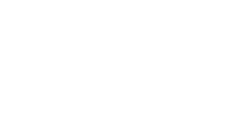 THE NETWORKING SPECIALISTS